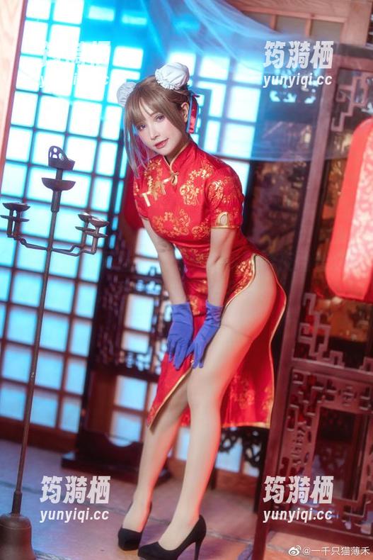 私房一千只猫薄禾：艾瑞尔静谧夜曲合集，我的心情开关全开！