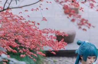万万没想到，矢量鱼和她的白裙美图竟然这么…